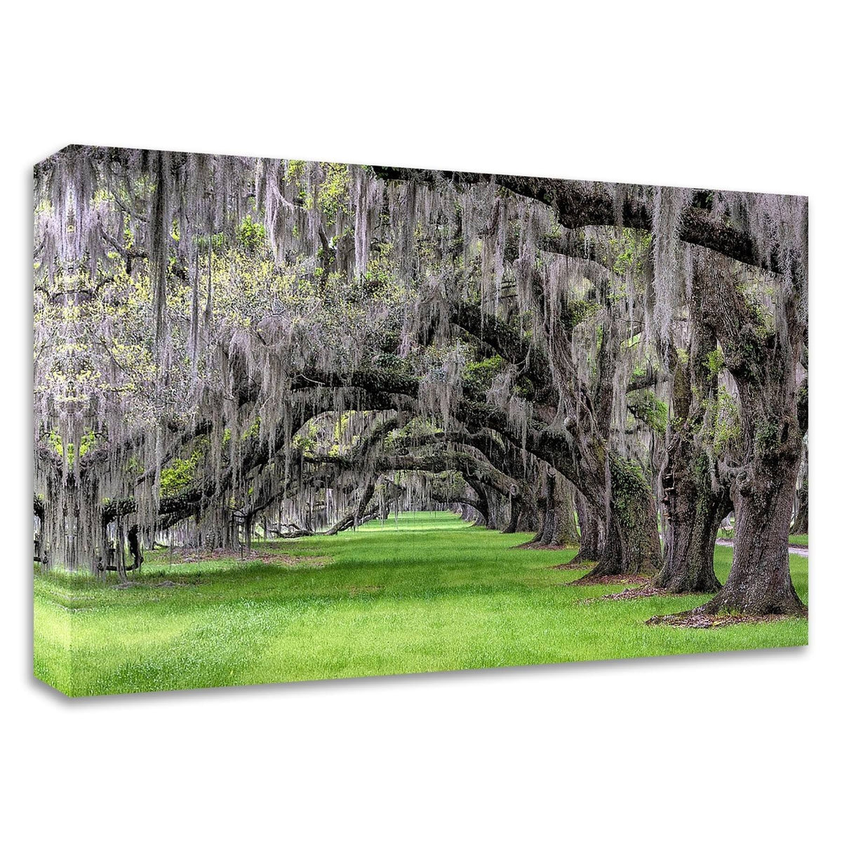 24x22 x 36x22 Print on Canvas O11539