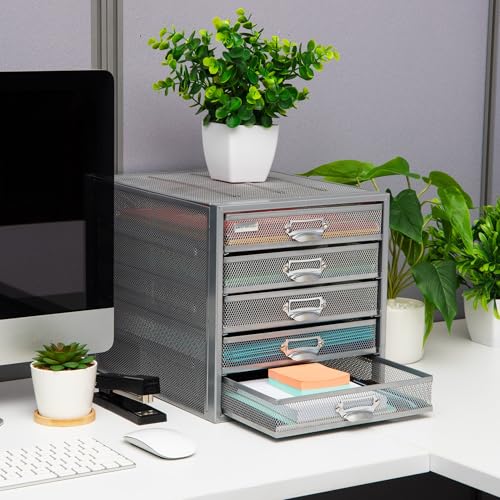 10-Drawer Metal Mesh Desk Organizer, Silver U5534