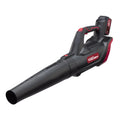 20V Max Cordless Handheld Blower I3337
