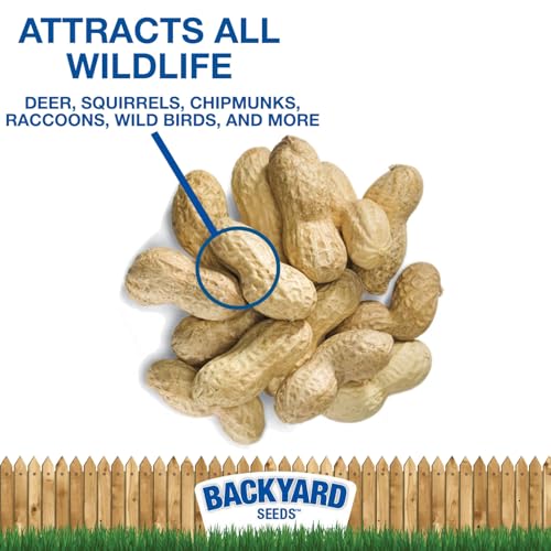 5 LB Bag Peanuts in Shell Z11851