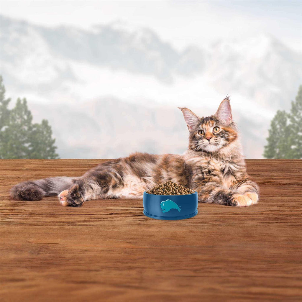 Indoor Hairball Control Cat Dry Food Z756