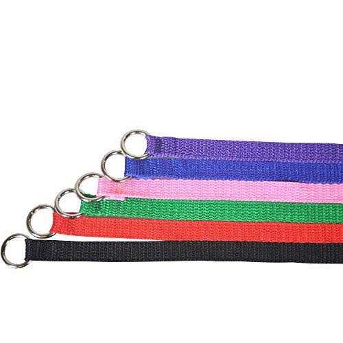 Dog Slip Lead Dog Leash O620763