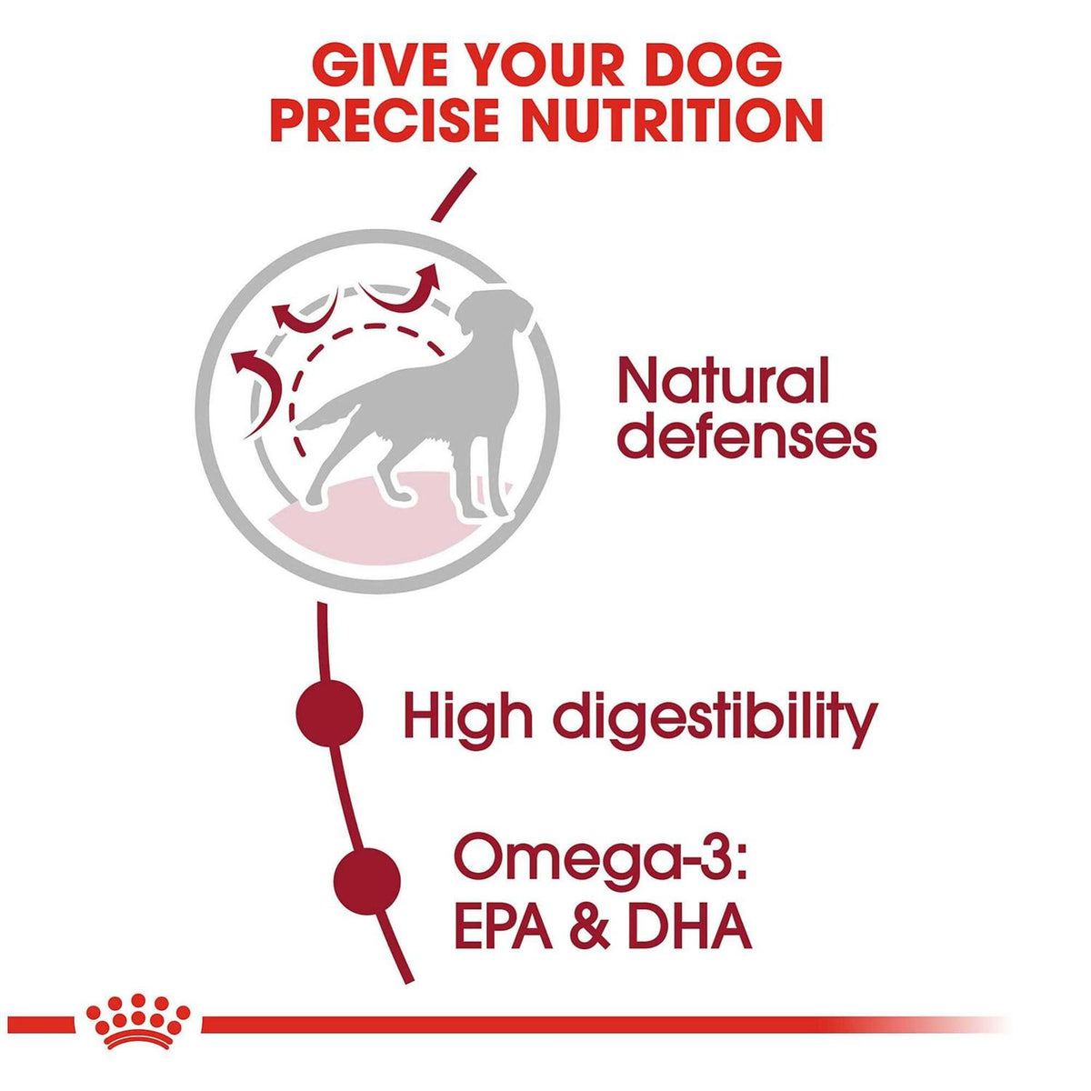Medium Adult Dry Dog Food A133