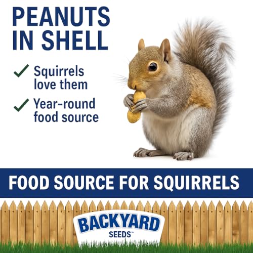 5 LB Bag Peanuts in Shell Z11851