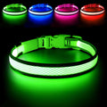 USB Rechargeable LED Dog Collar B969306