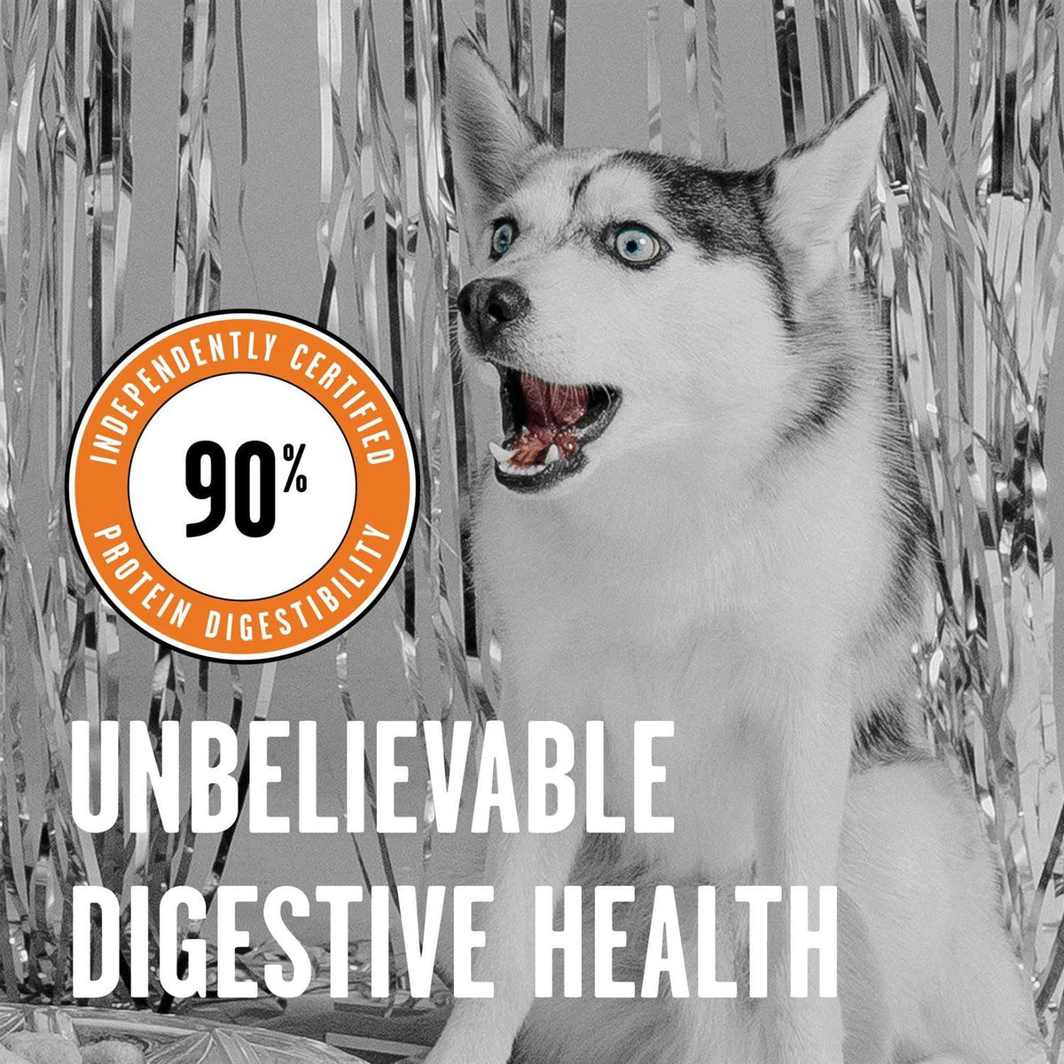 Chicken Recipe Dry Dog Food P3598