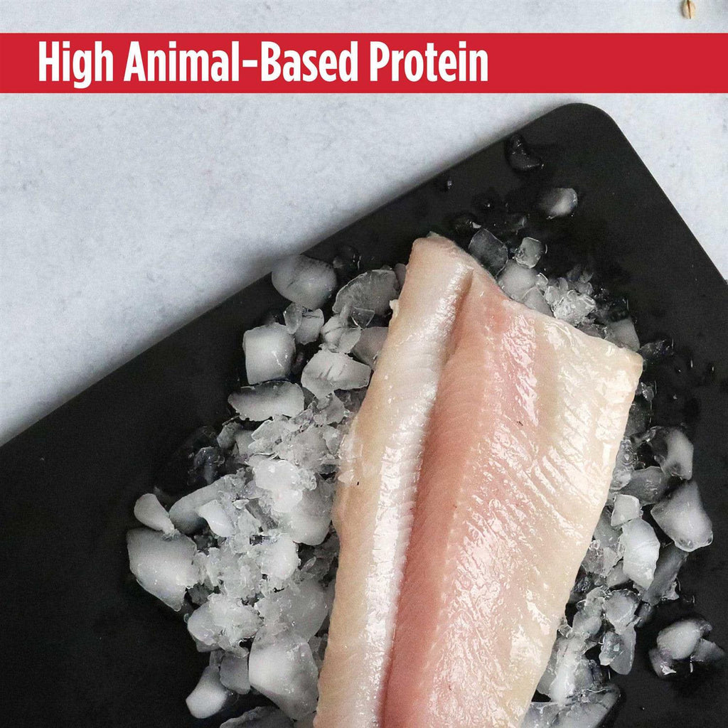 Grain Free Trout & Duck Dry Cat Food M86718