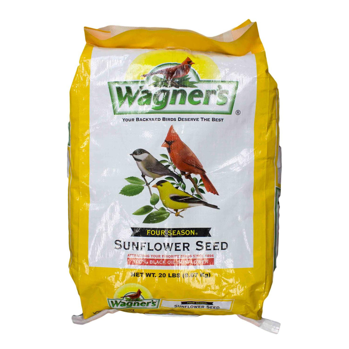 Black Oil Sunflower Seed Z94148