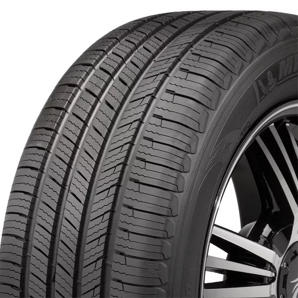 255/65R17 110T All-Season Tire L158