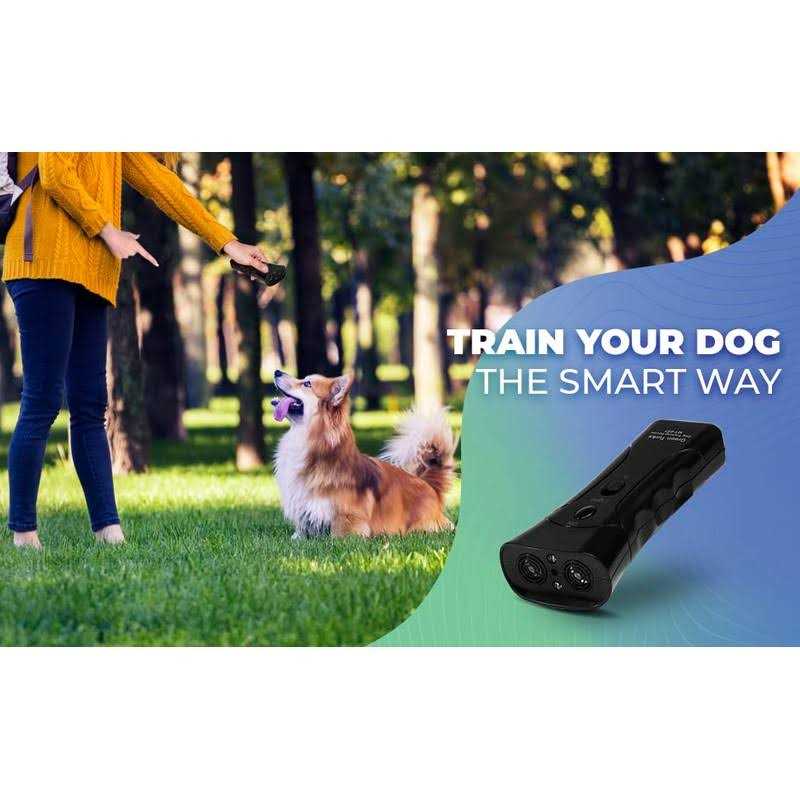 Handheld Anti Barking Dog Training Device with LED Dual Sensor Z76942