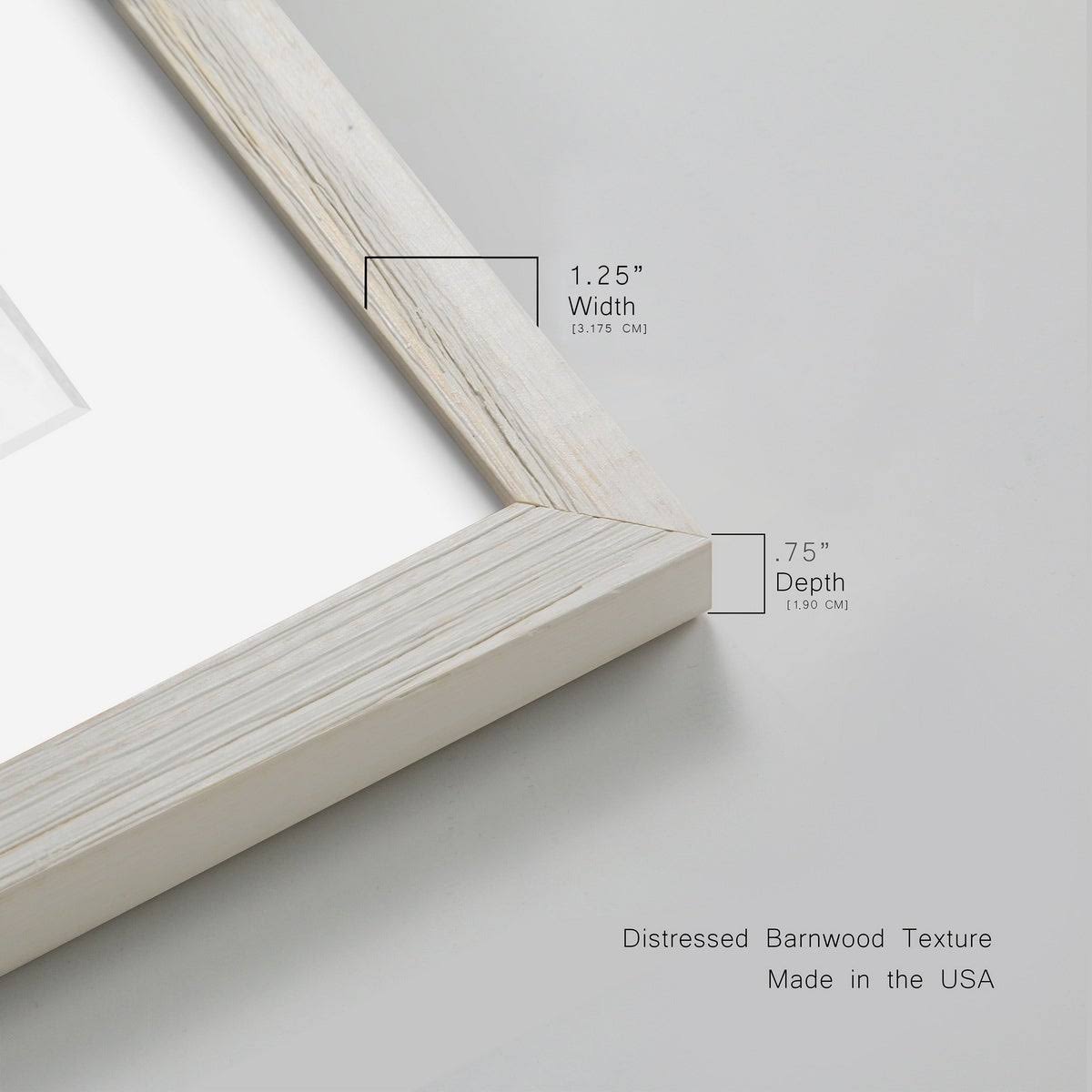 Framed Canvas Q911