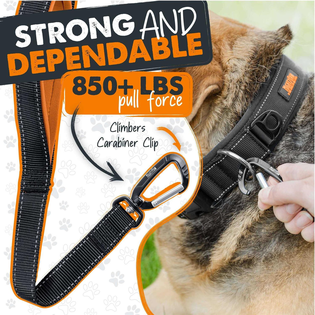 Dual Handle Dog Leash C925