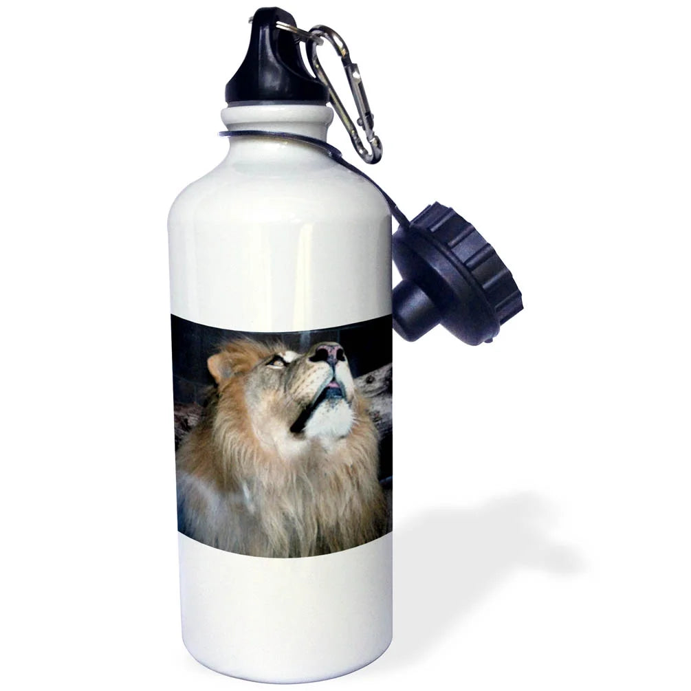 21 oz Sports Water Bottle Z478752