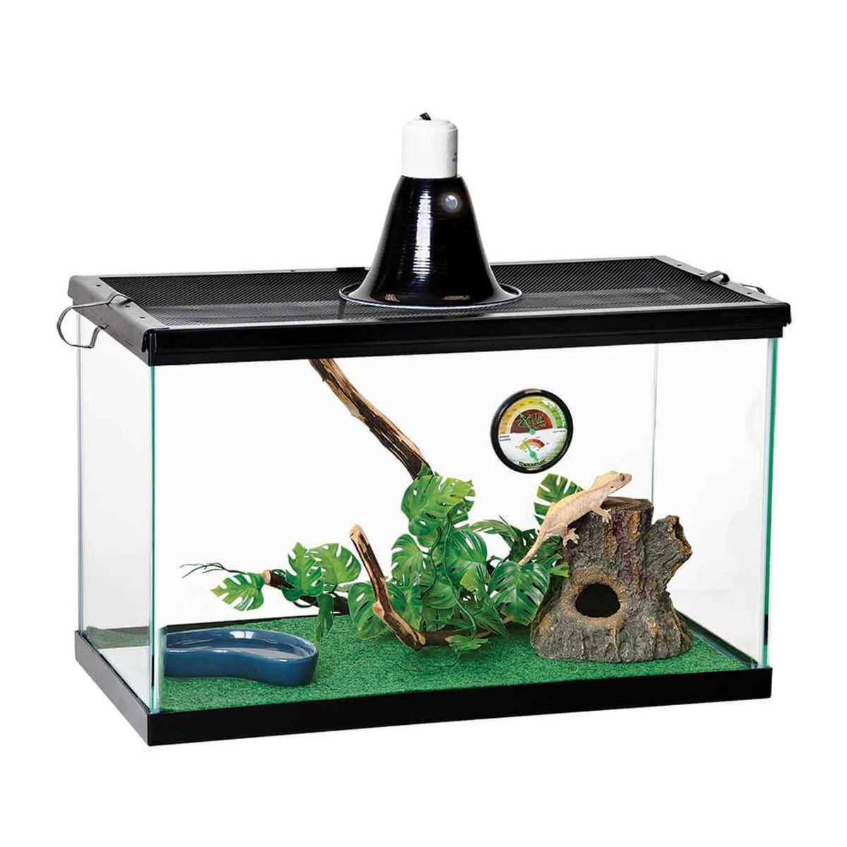 Green Terrarium Liner I6149