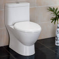 One-Piece Dual Flush Toilet with Soft Close Seat B930