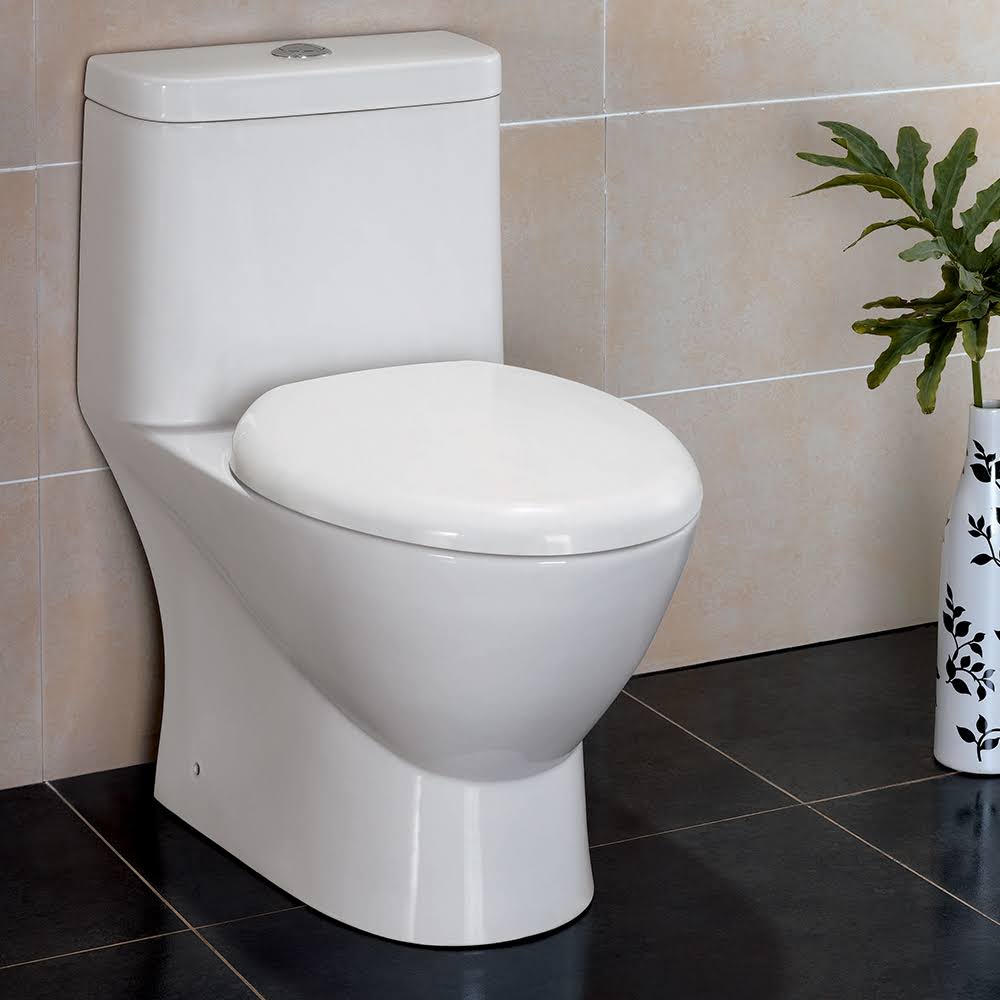 One-Piece Dual Flush Toilet with Soft Close Seat B930