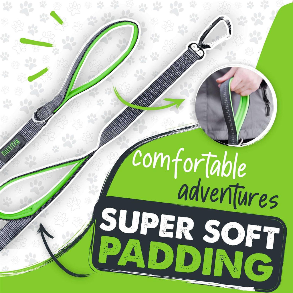 Dual Handle Dog Leash C925