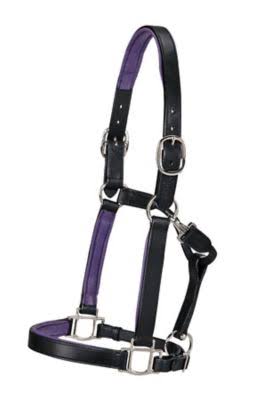 Black/Purple Padded Halter E3798