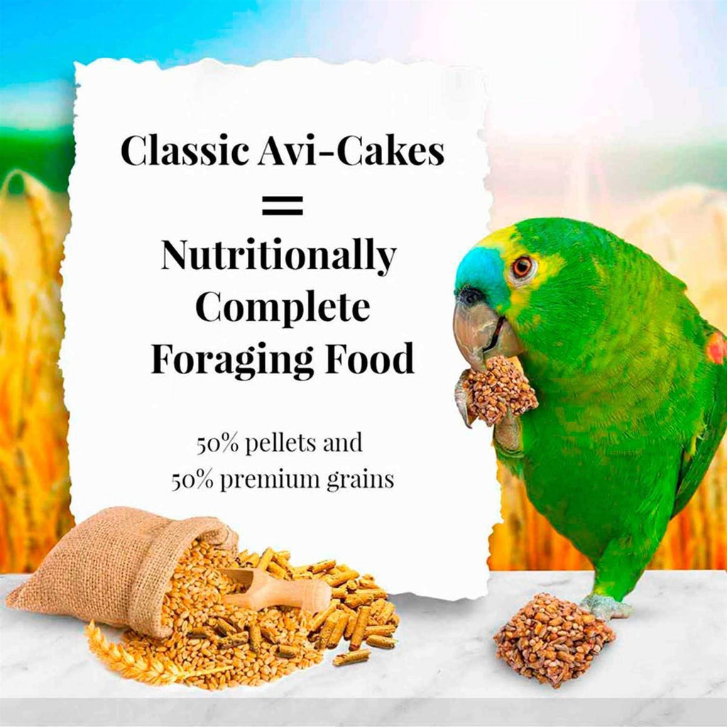 Parrot Food N947