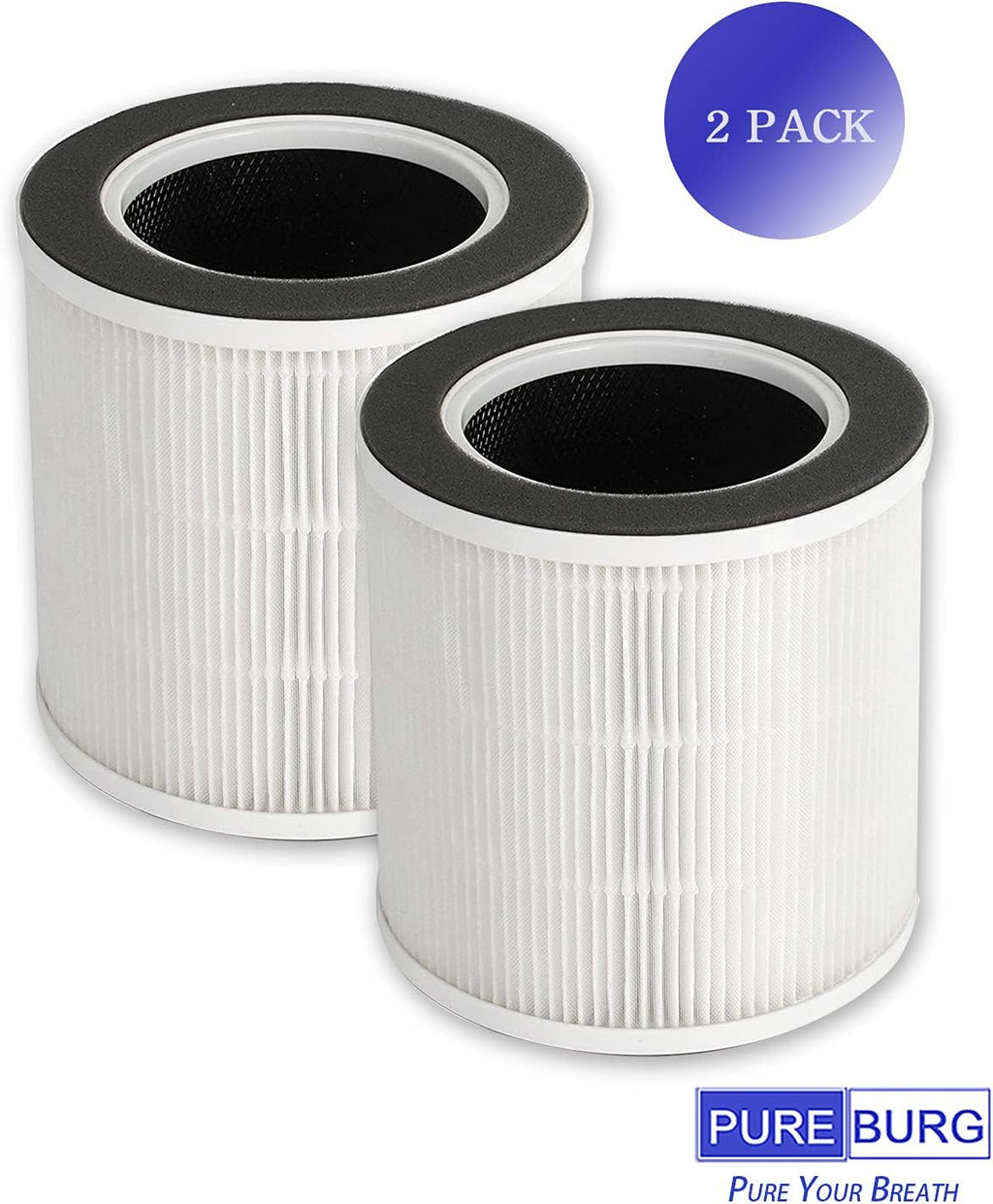2-Pack Replacement HEPA with Activated Carbon Filters Z463761