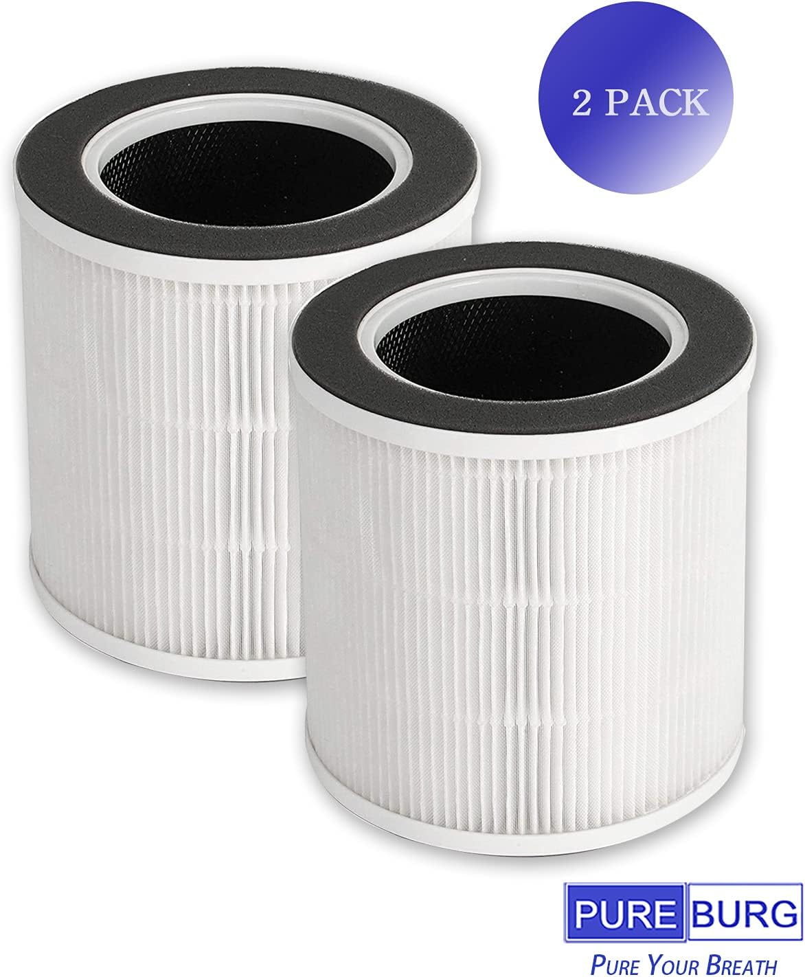 2-Pack Replacement HEPA with Activated Carbon Filters Z463761