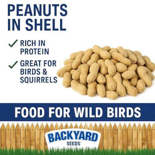 5 LB Bag Peanuts in Shell Z11851