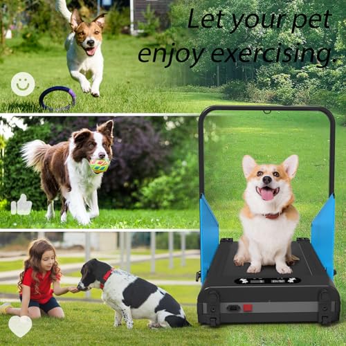Pet Dog Running Machine with Remote Control J814656