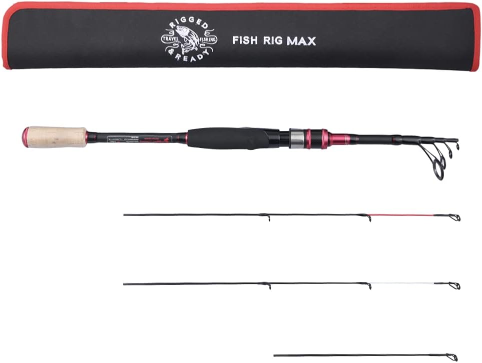 Telescopic Rod 240 & 210cm with 3 Tips B518629