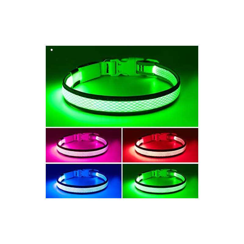 USB Rechargeable LED Dog Collar B969306