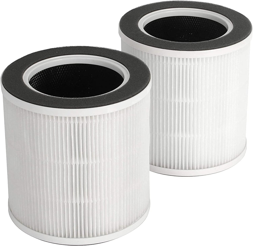 2-Pack Replacement HEPA with Activated Carbon Filters Z463761