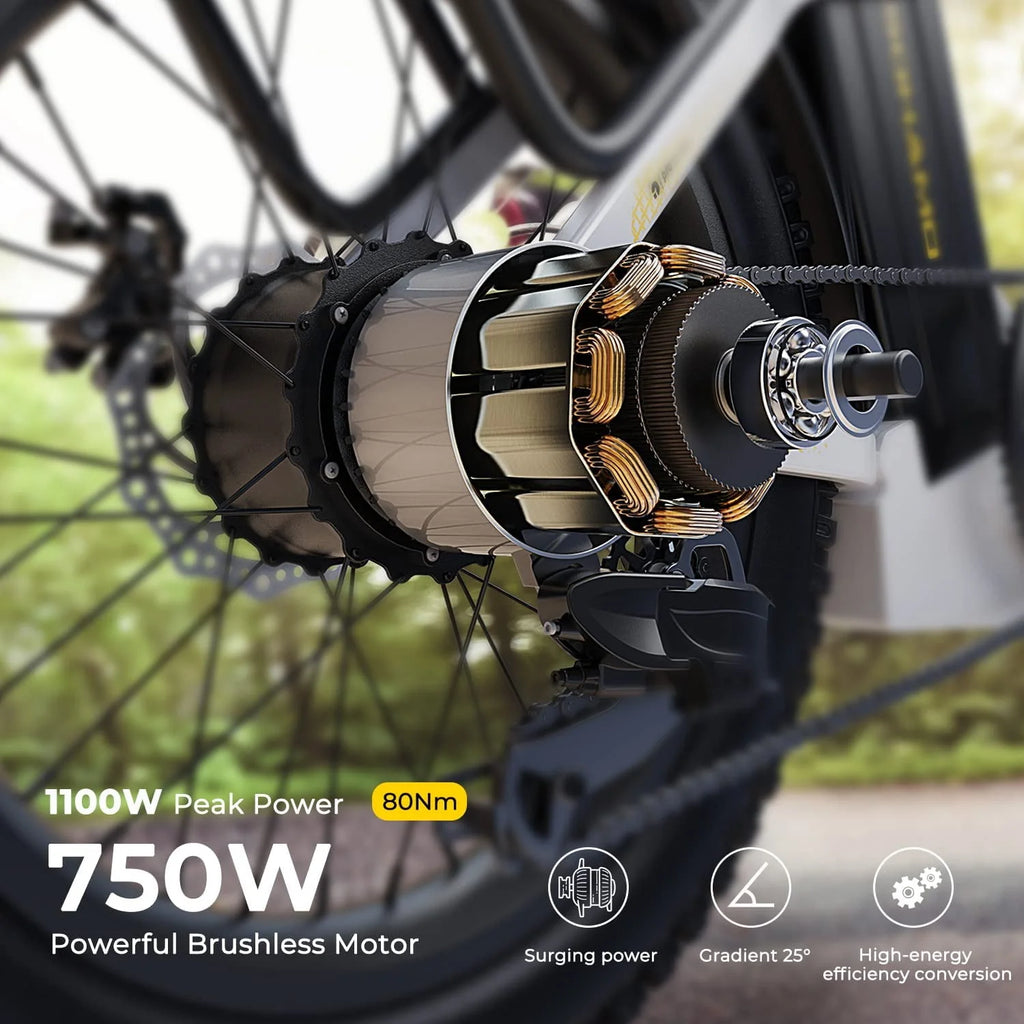48V 15AH 750W Folding Electric Bike N307437