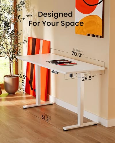 48 x 24 Inches Height Adjustable Electric Standing Desk with Memory S326615