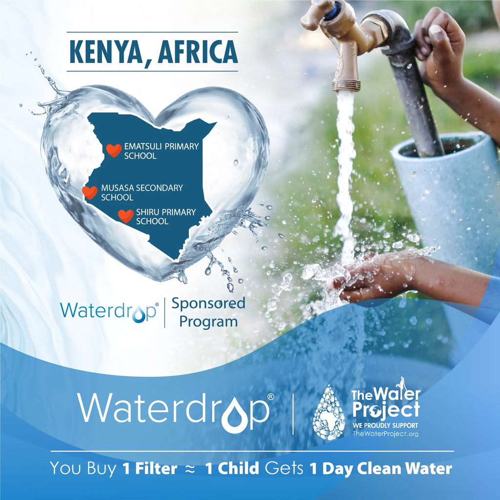Refrigerator Water Filter 2 Pack Q3335