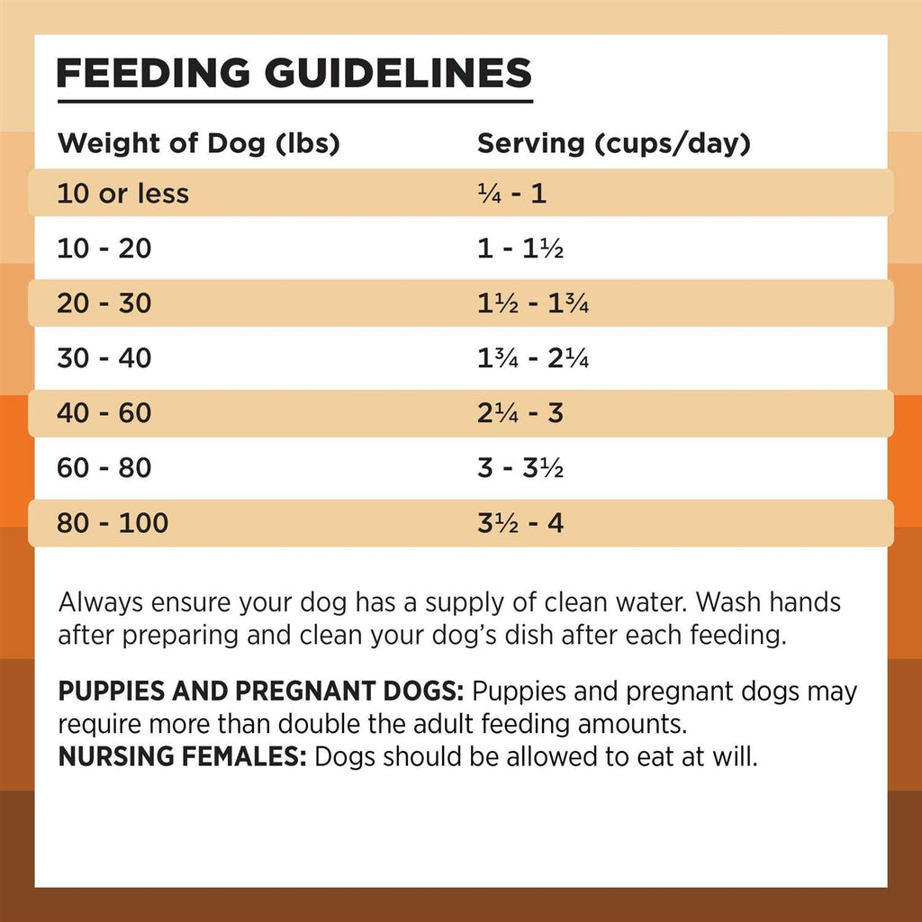 Chicken Recipe Dry Dog Food P3598