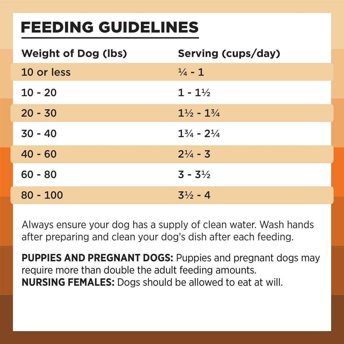 Chicken Recipe Dry Dog Food P3598