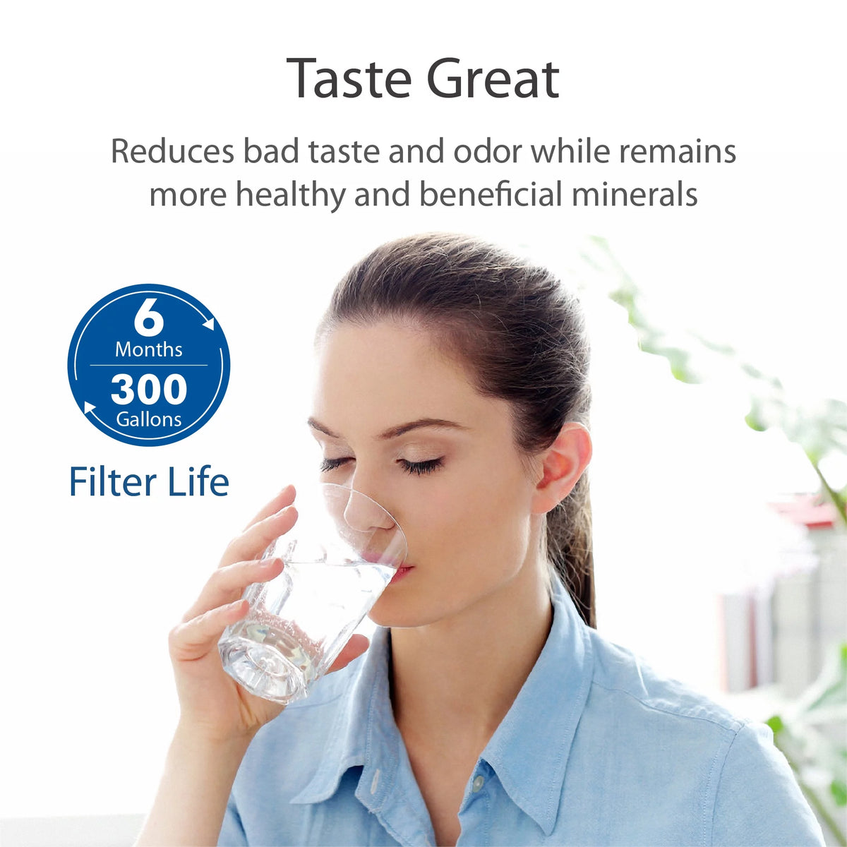 Refrigerator Water Filter 2 Pack Q3335