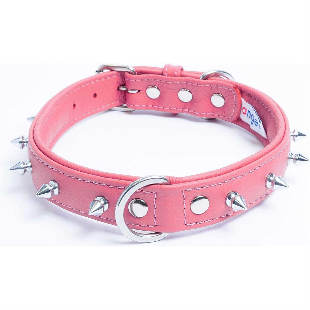 Dog Collar I75423