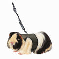 Harness Leash D307