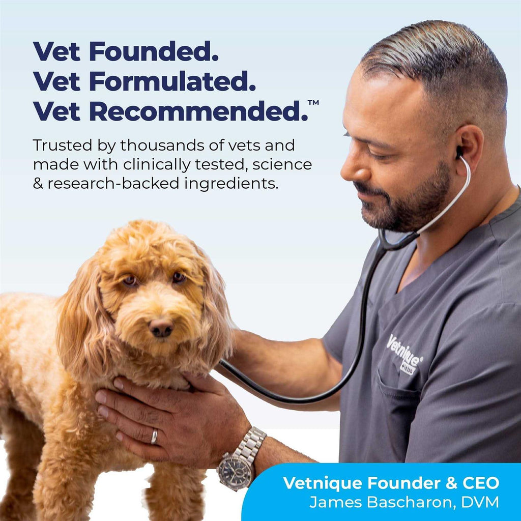 Anal Gland Support Powder for Dogs & Cats U3624
