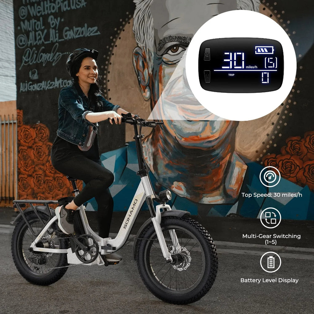48V 15AH 750W Folding Electric Bike N307437