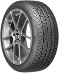 225/45R19 92W Performance Radial Tire W243