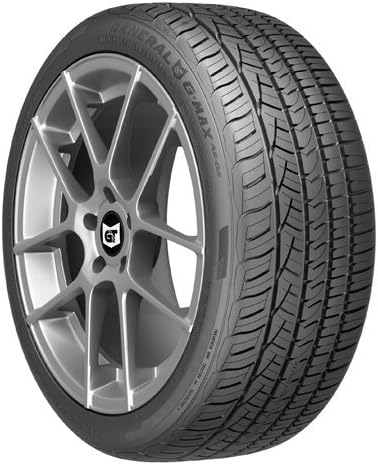 225/45R19 92W Performance Radial Tire W243