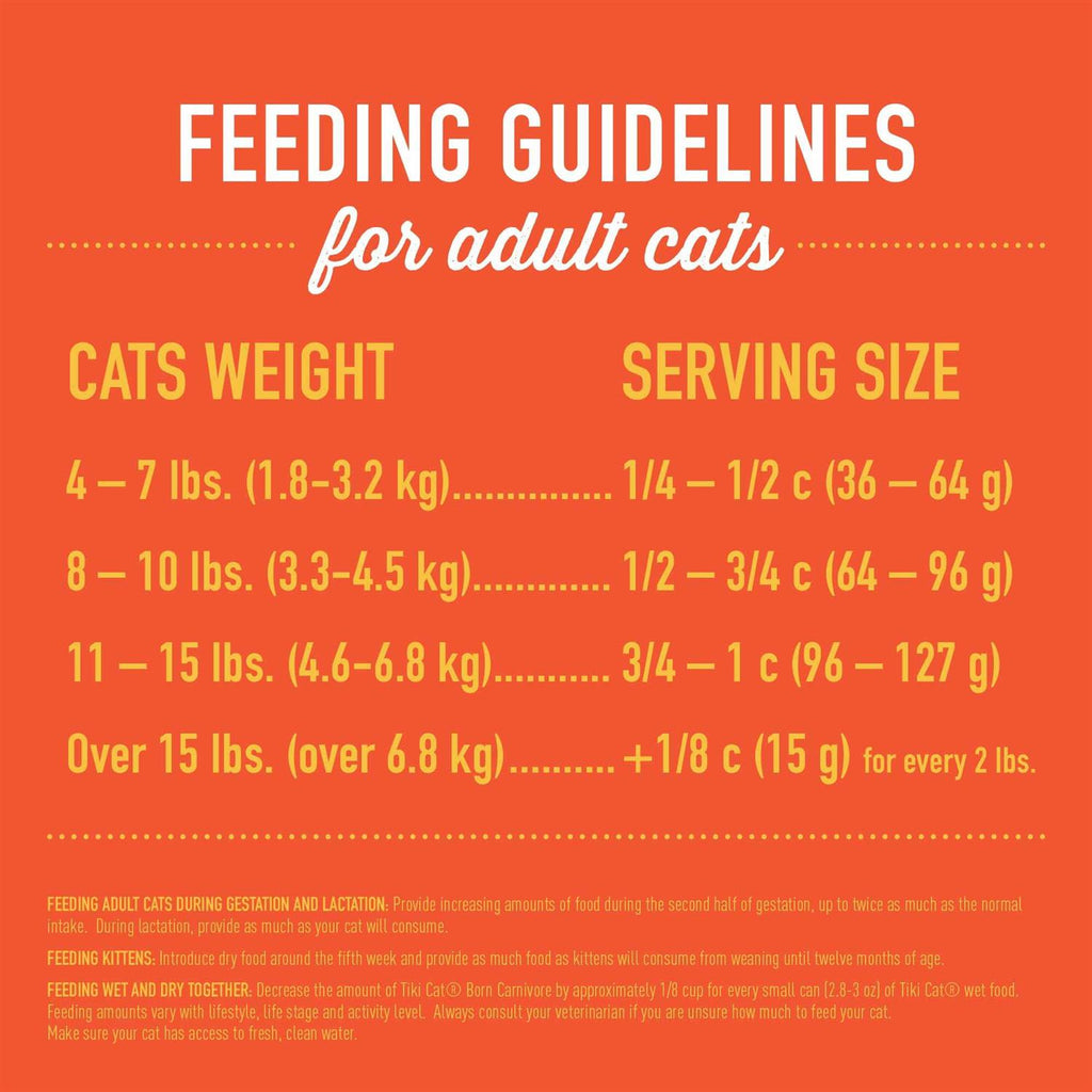Chicken & Turkey Meal Recipe Dry Cat Food U789852