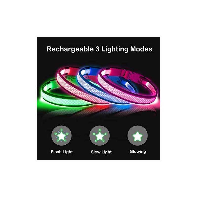 USB Rechargeable LED Dog Collar B969306