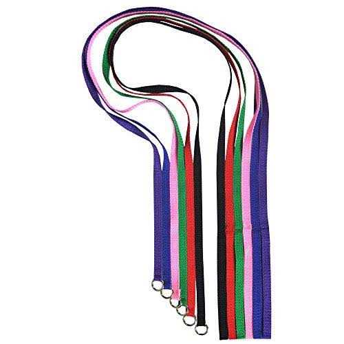Dog Slip Lead Dog Leash O620763