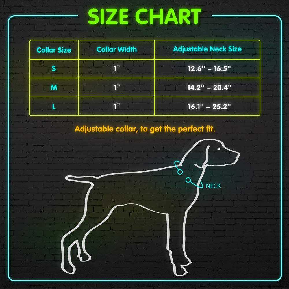USB Rechargeable LED Dog Collar B969306