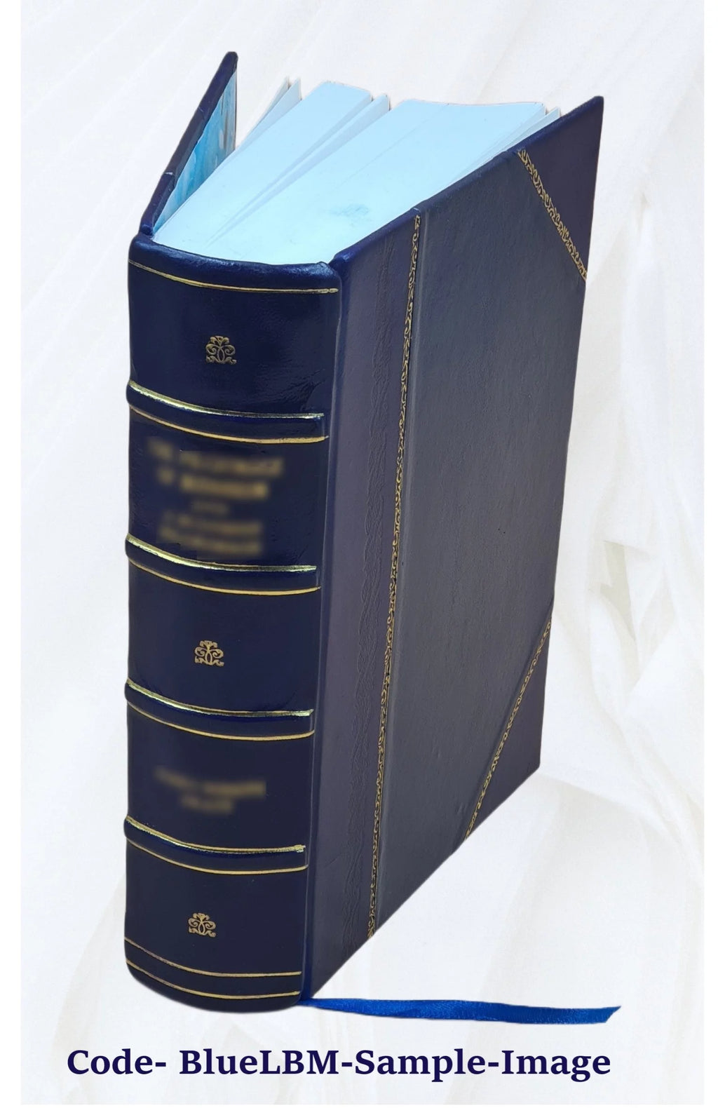 Nineteenth Ohio Battery Volunteer Artillery Leather Bound X714
