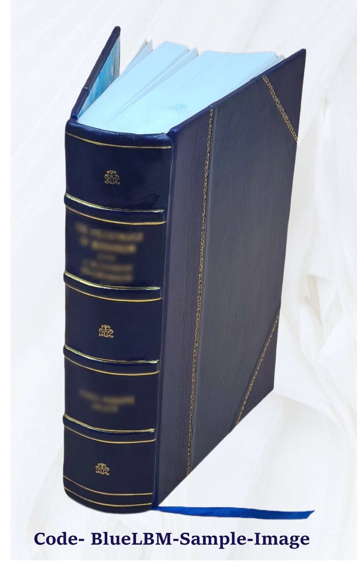 Nineteenth Ohio Battery Volunteer Artillery Leather Bound X714