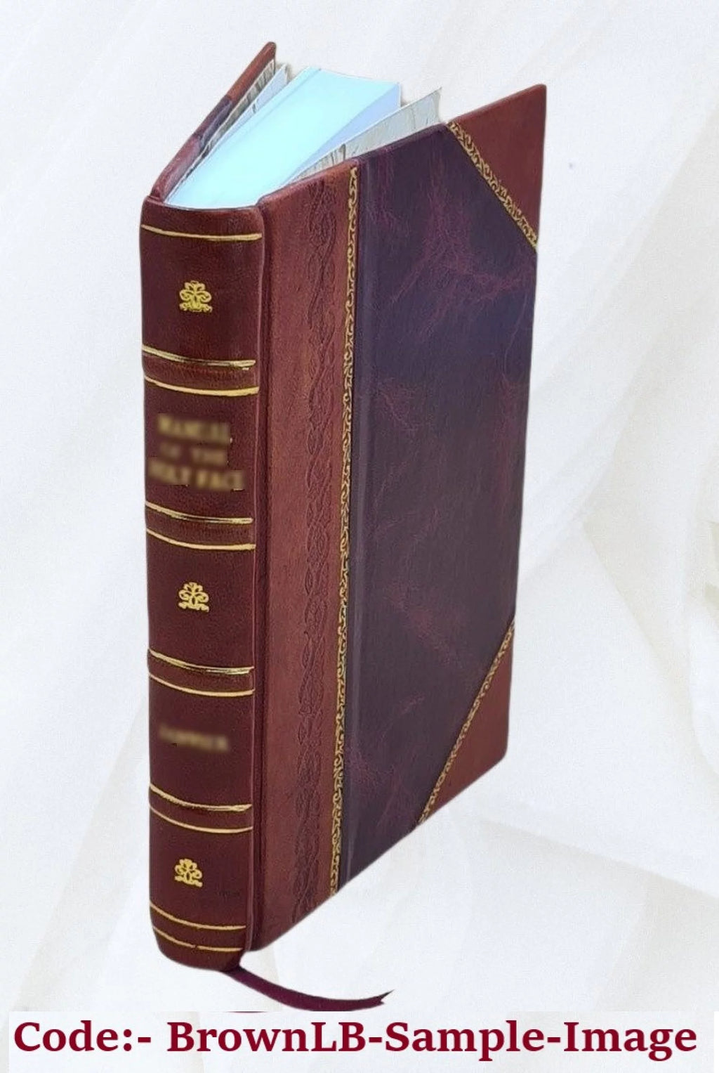 Leather Bound O343