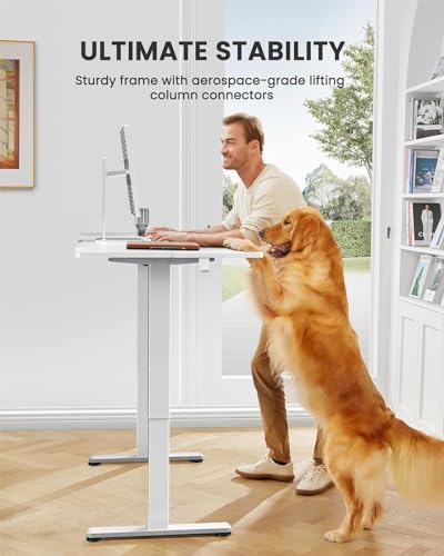 48 x 24 Inches Height Adjustable Electric Standing Desk with Memory S326615